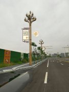 山西智慧燈桿項目